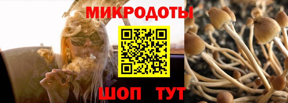 Гулькевичи  Псилоцибиновые грибы прущие грибы  где продают наркотики  Галлюциногенные грибы GOLDEN TEACHER  Вход с VPN 